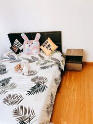 Ascent @ 456 (D12), Apartment #610415741